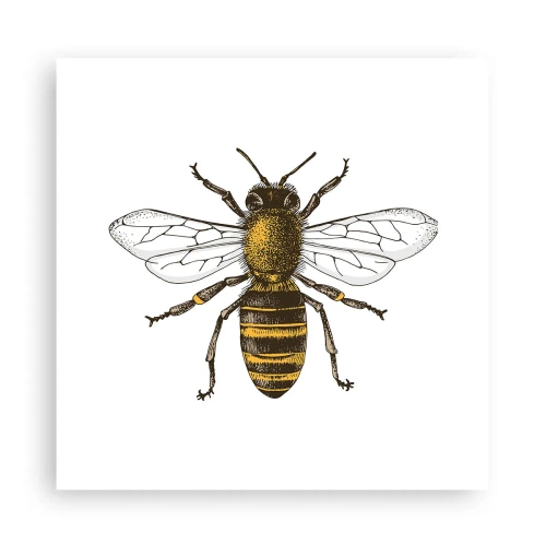 Plakát - Krásná a dobrá - 30x30 cm