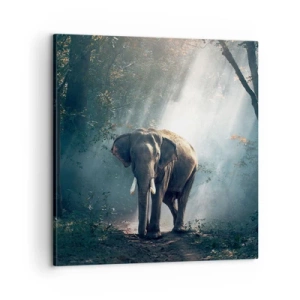 Obraz na plátně - Klidná procházka - 60x60 cm