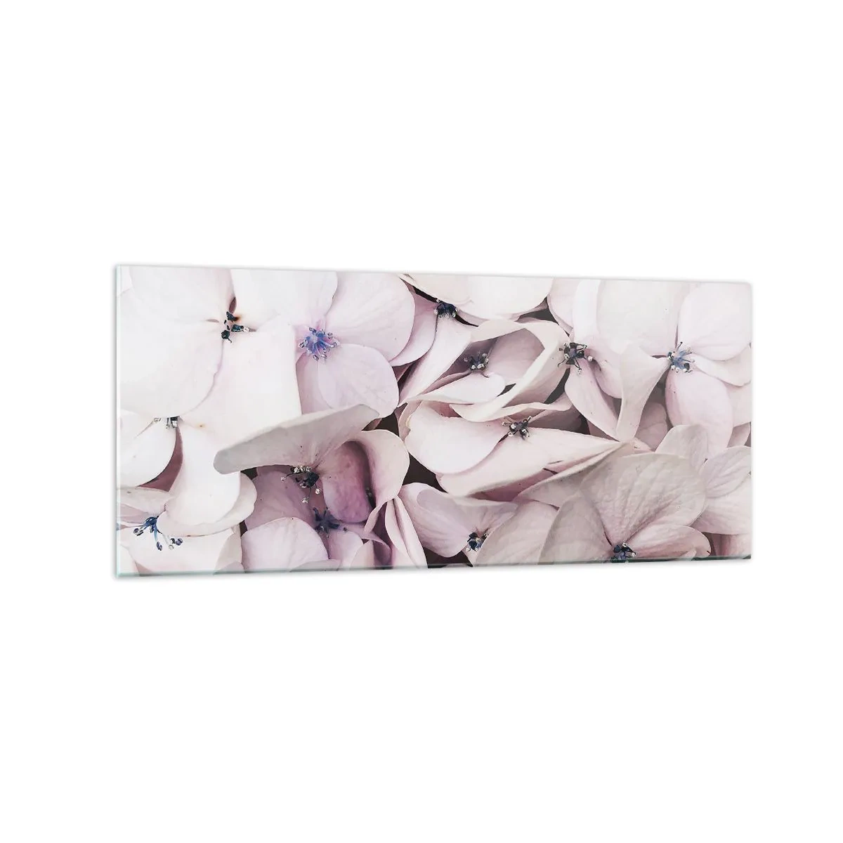 Obraz na skle - V záplavě květin - 120x50 cm