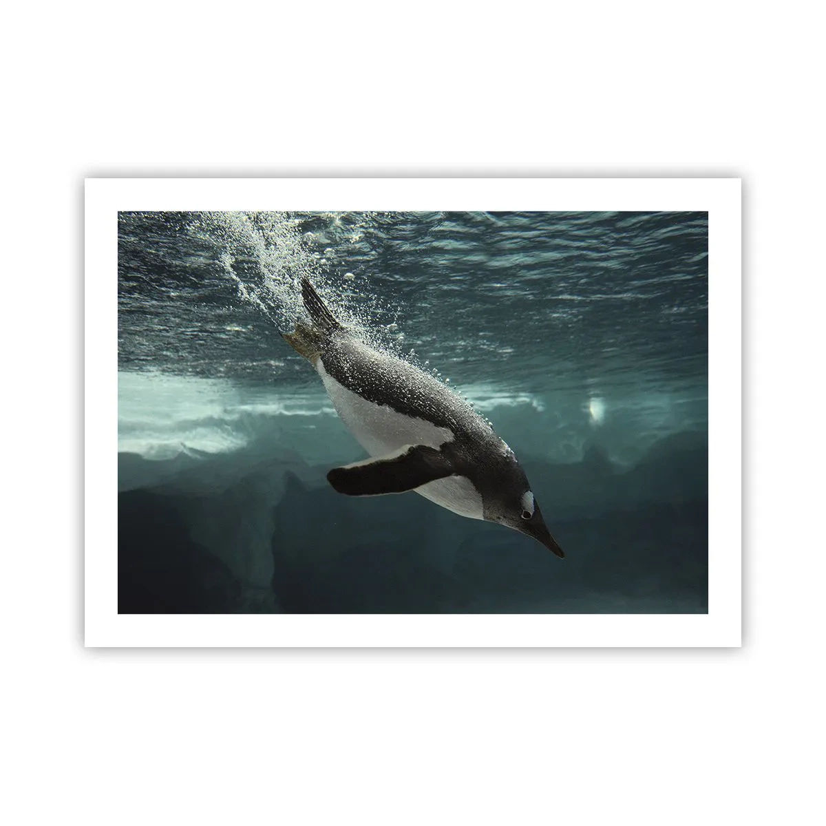 Plakát - Vítejte v mém světě - 70x50 cm