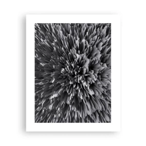 Plakát - Ostřejší to už nebude - 40x50 cm