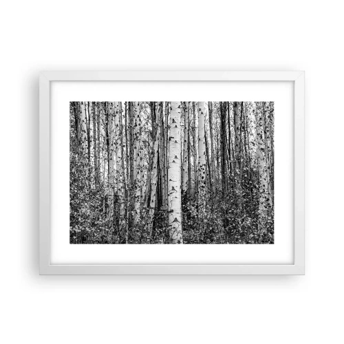 Plakát v bílém rámu - Březová kolonáda - 40x30 cm