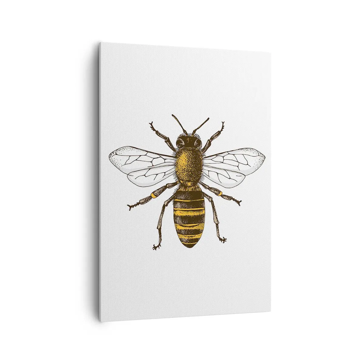 Obraz na plátně - Krásná a dobrá - 70x100 cm