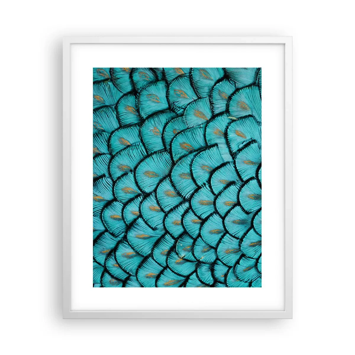 Plakát v bílém rámu - Velká slavnost peří - 40x50 cm