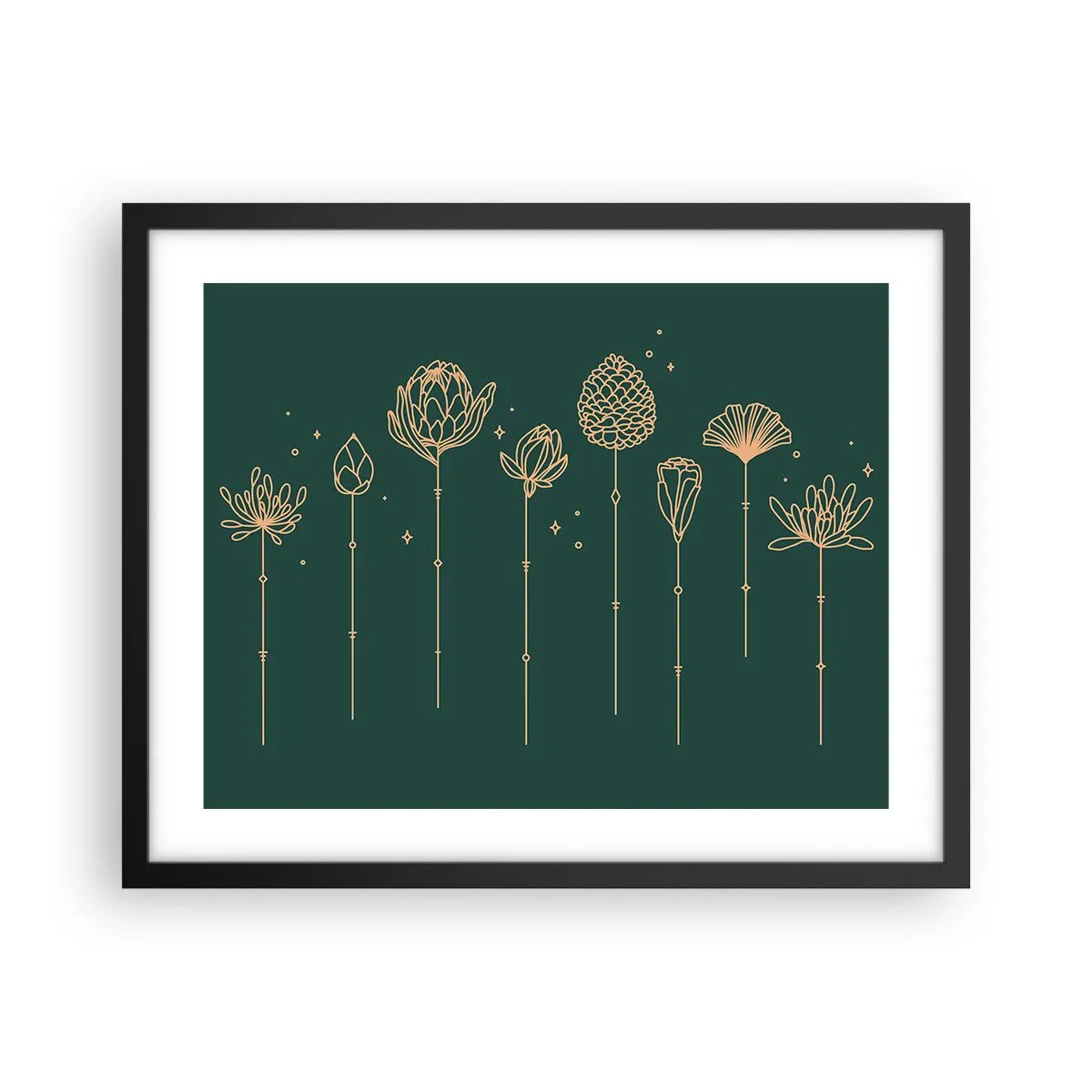 Plakát v černém rámu - Bylinky - 50x40 cm