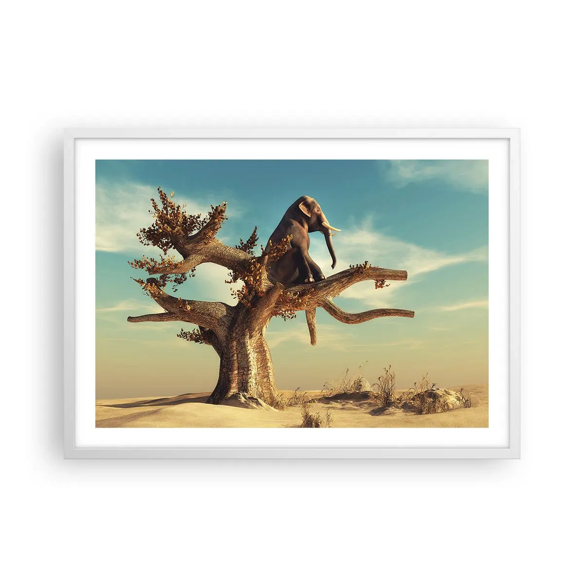 Plakát v bílém rámu - Nový úhel pohledu - 70x50 cm