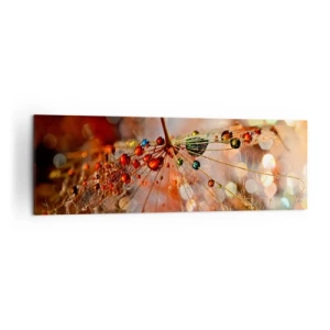 Obraz na plátně - Navlečeno na pavučinu - 160x50 cm