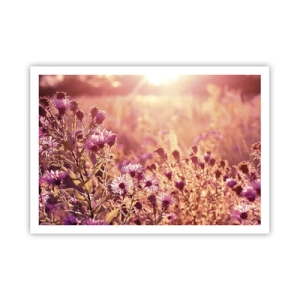 Plakát - Než skončí léto - 100x70 cm