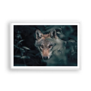 Plakát v bílém rámu - Predátor - 91x61 cm