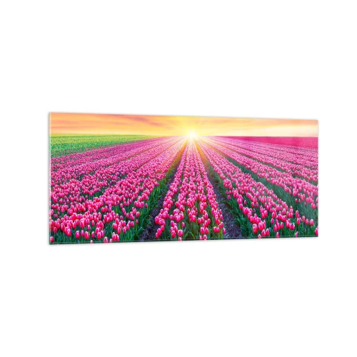 Obraz na skle - Farma krásy - 120x50 cm
