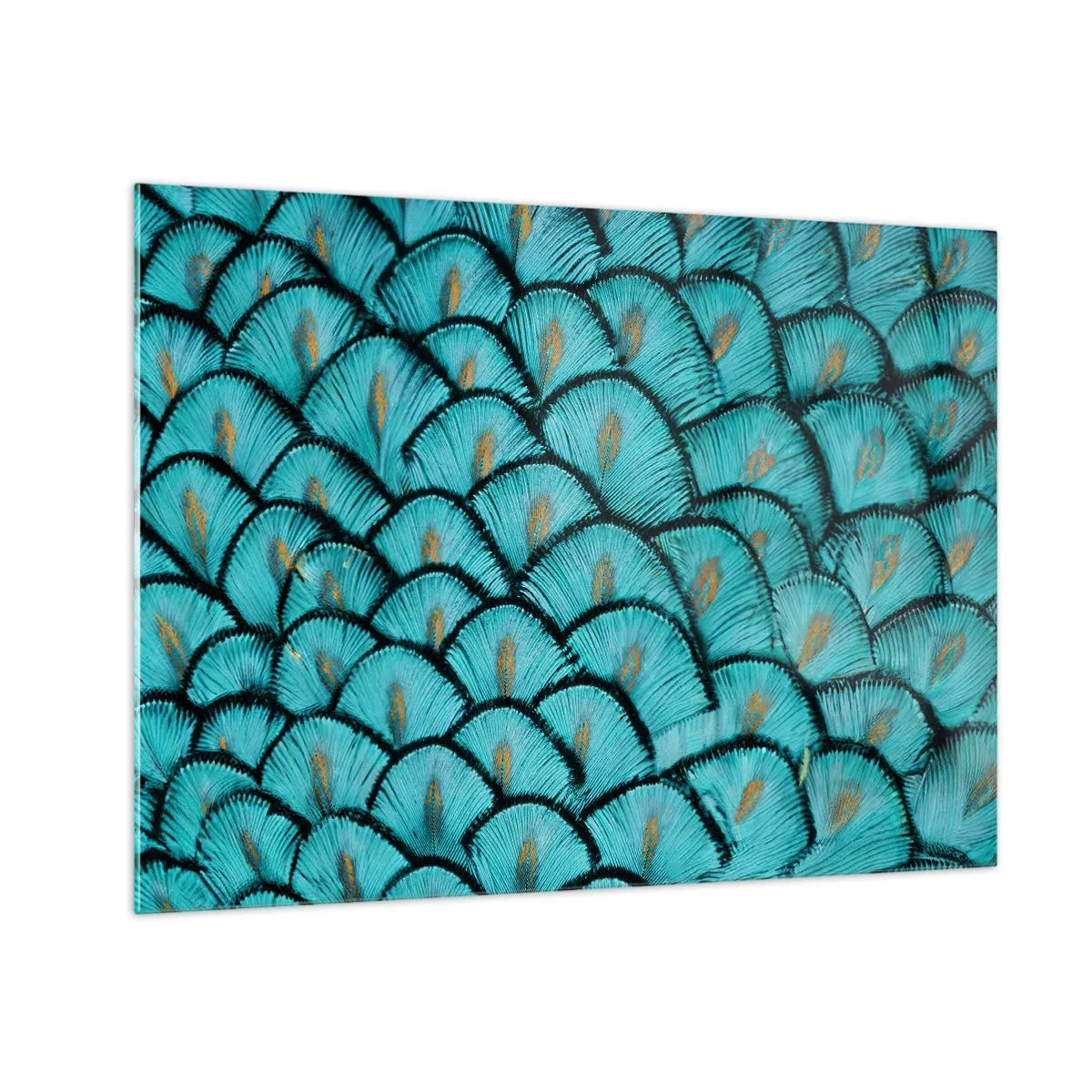 Obraz na skle - Detailní záběr na tyrkysová paví pera tvořící dekorativní vzor. - 70x50cm - Velká slavnost peří - Moderní nástěnná dekorace do obývacího pokoje a ložnice ARTTOR