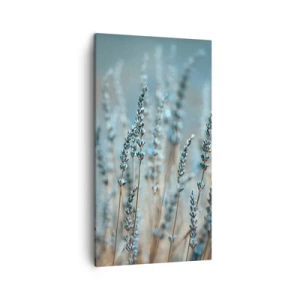 Obraz na plátně - Voňavý lán - 45x80 cm