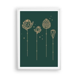 Plakát v bílém rámu - Bylinky - 70x100 cm