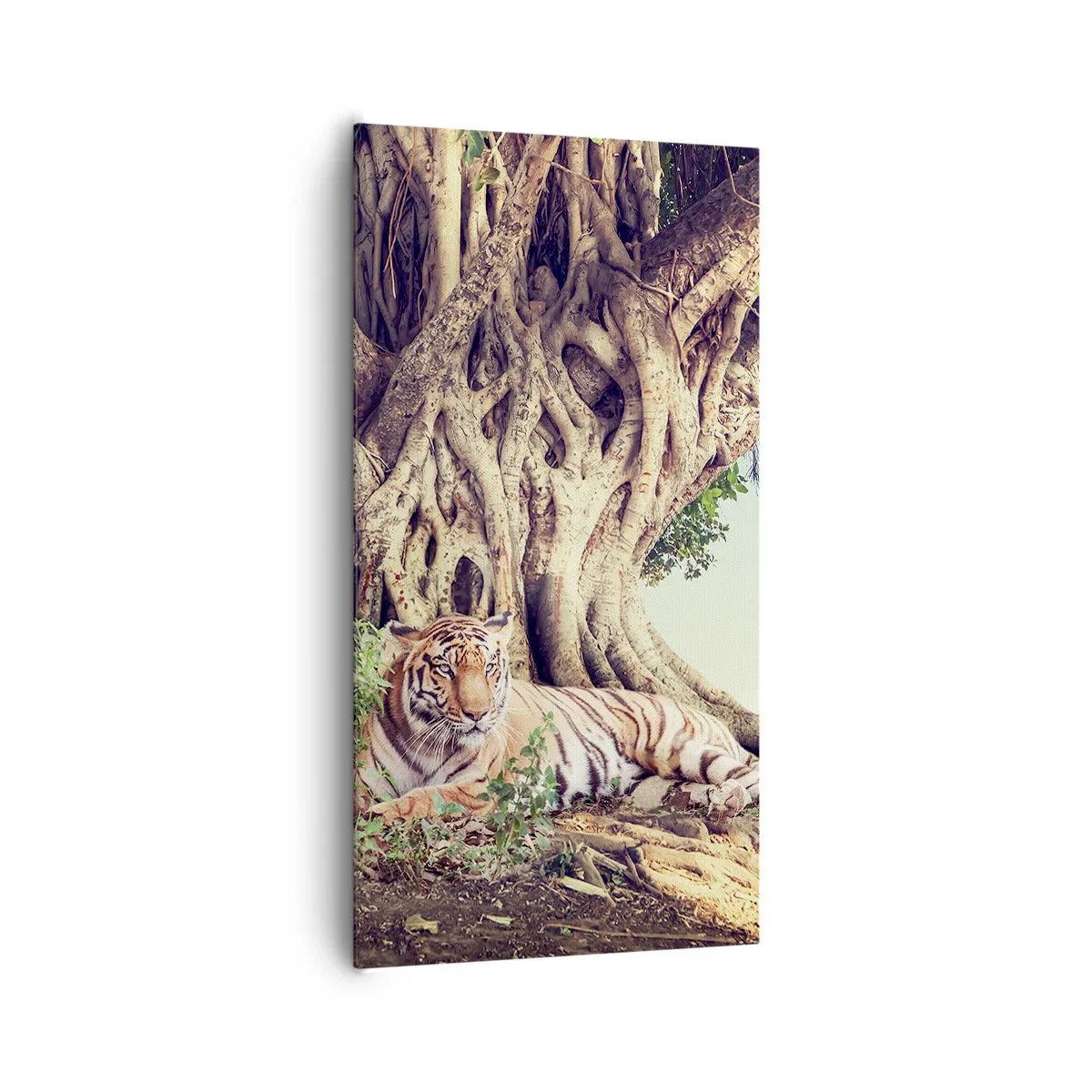 Obraz na plátně - Pohled z knihy Mojžíšovy - 65x120 cm