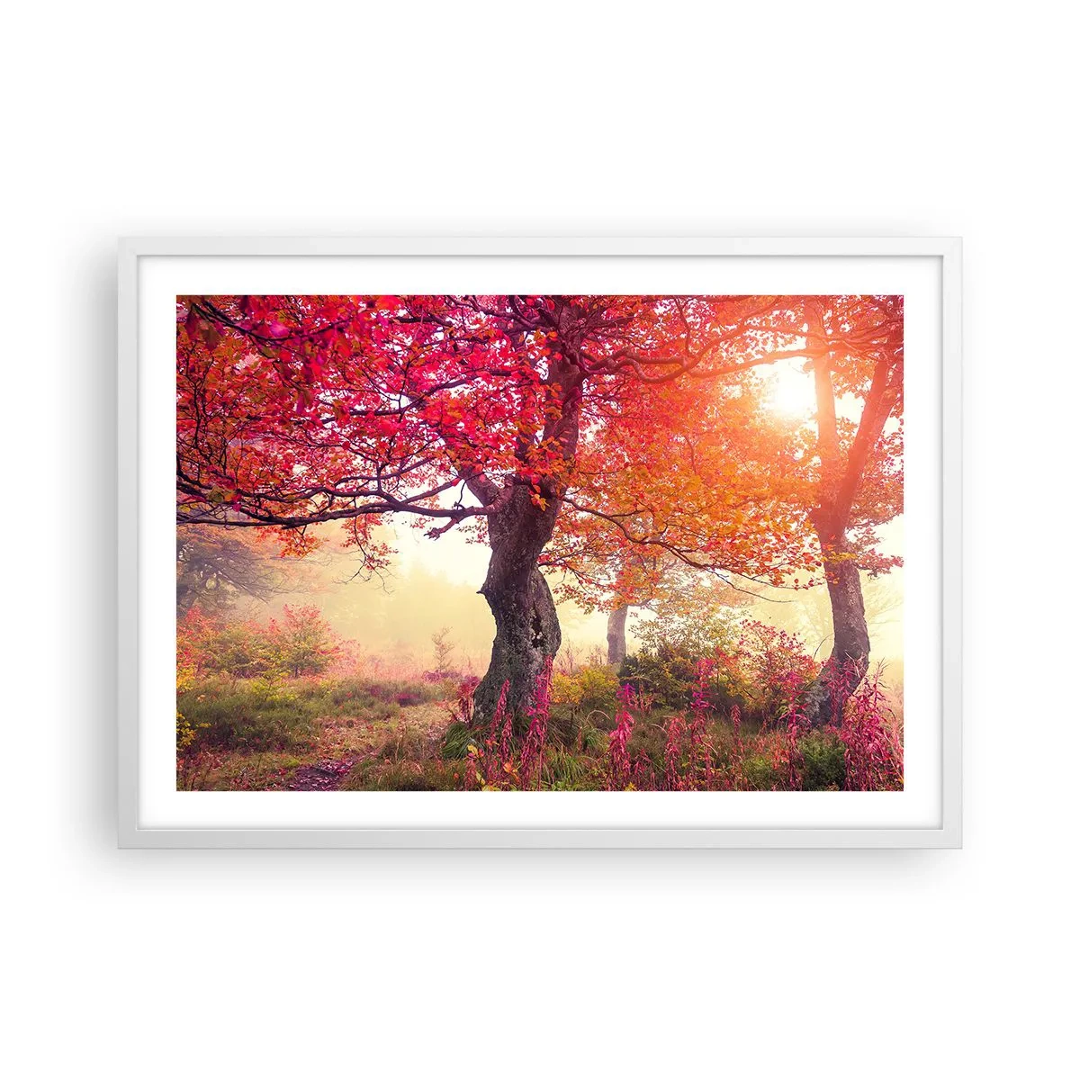 Plakát v bílém rámu - Šílenství rozkvětu - 70x50 cm