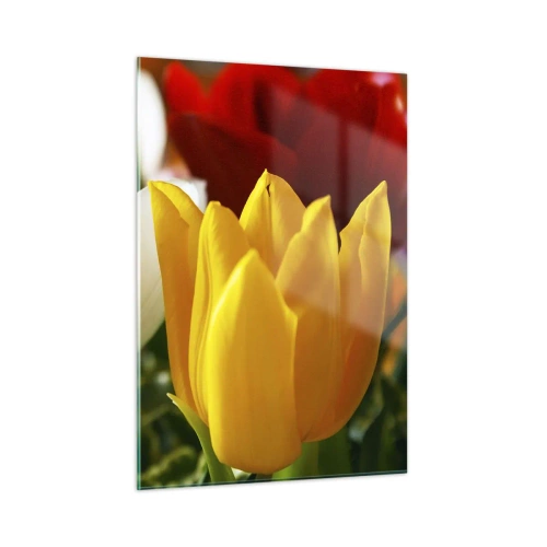 Obraz na skle - Tulipánová horečka - 50x70 cm