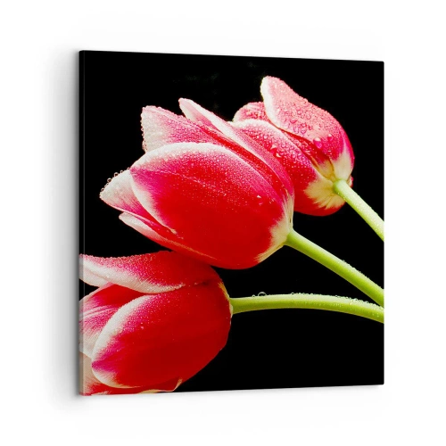 Obraz na plátně - Slib čisté lásky - 60x60 cm