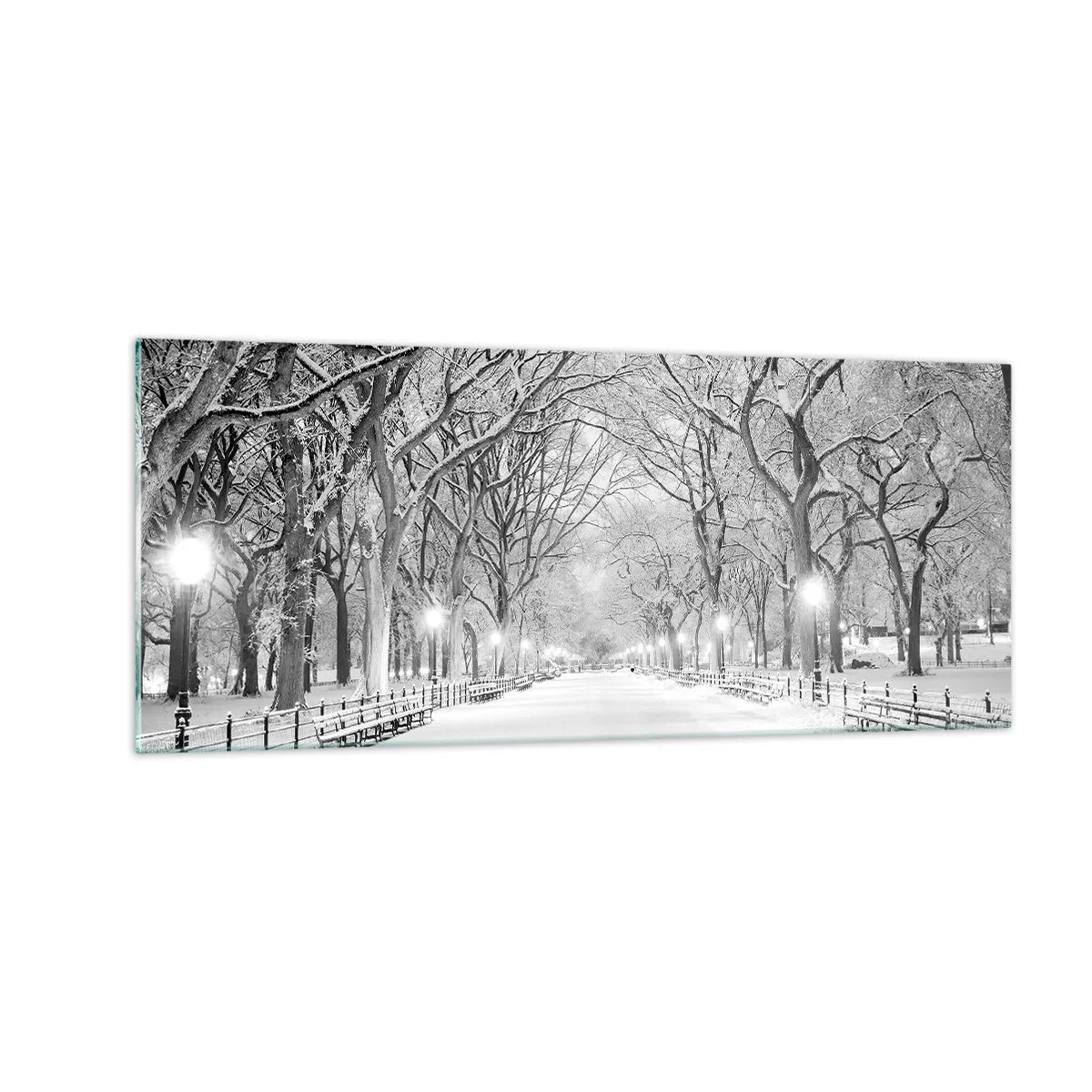 Obraz na skle - Čtyři roční období – zima - 100x40 cm