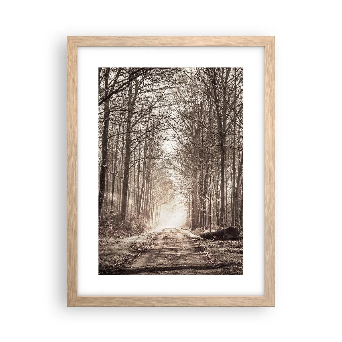 Plakát v rámu světlý dub - Lesní katedrála - 30x40 cm