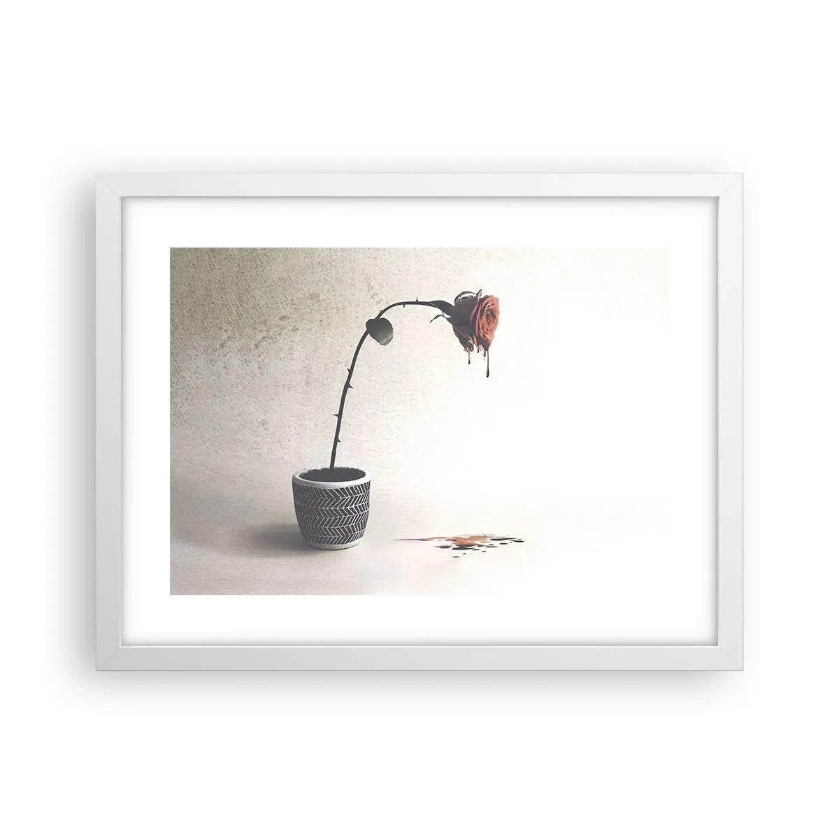 Plakát v bílém rámu - Rosa dolorosa - 40x30 cm