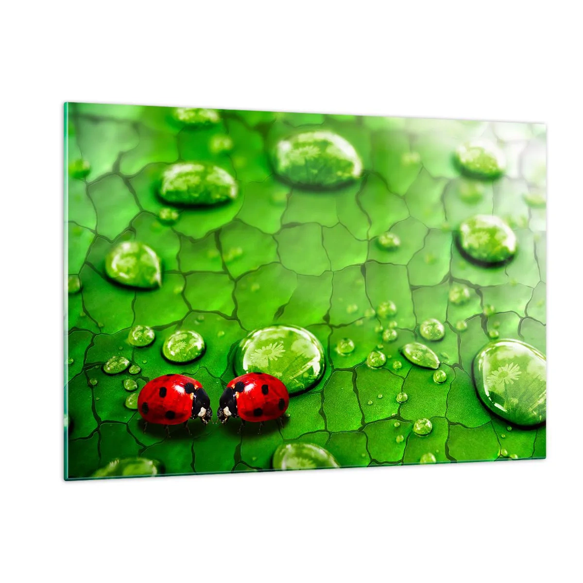 Obraz na skle - Setkání v zeleni - 120x80 cm