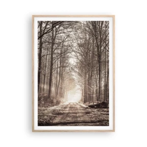 Plakát v rámu světlý dub - Lesní katedrála - 70x100 cm