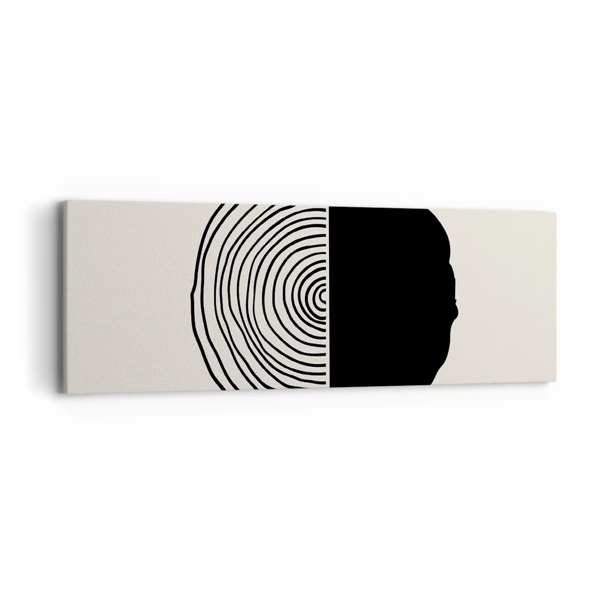 Obraz na plátně - Půl na půl - 90x30 cm