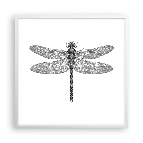 Plakát v bílém rámu - Přesnost přírody - 60x60 cm