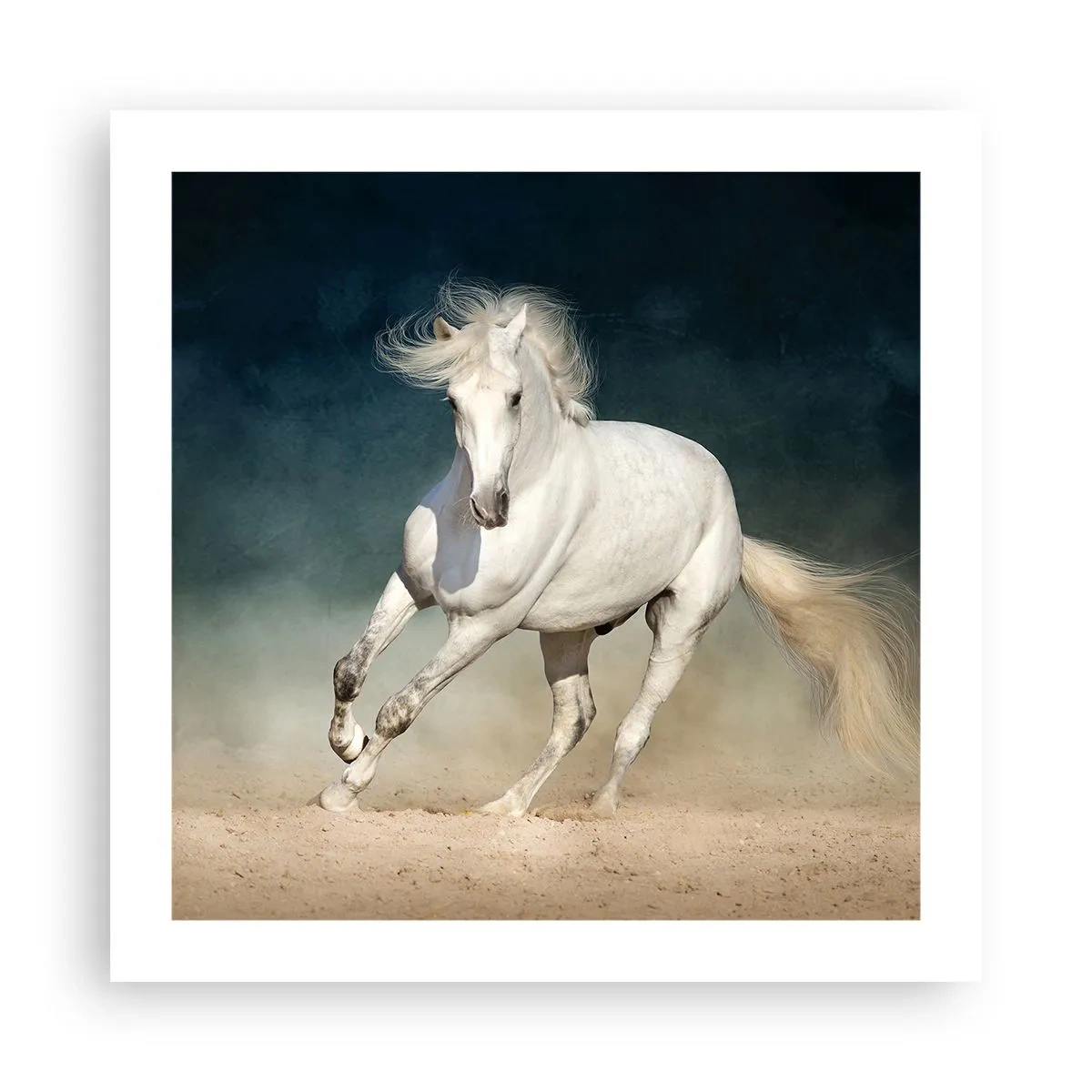 Plakát - Svoboda v čistém stavu - 50x50 cm