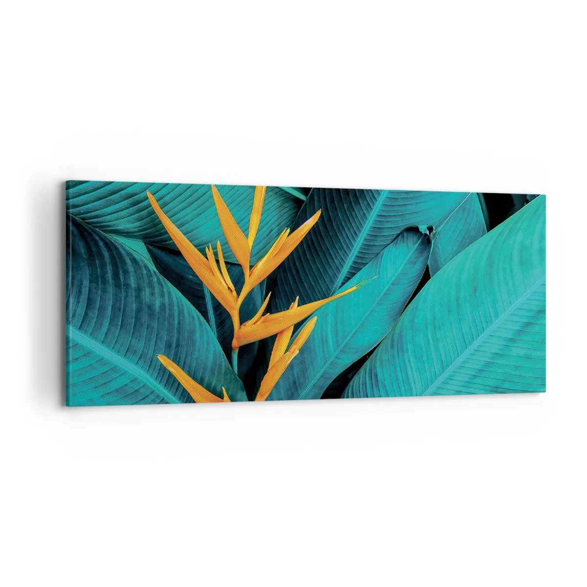 Obraz na plátně - Rajský květ - 120x50 cm