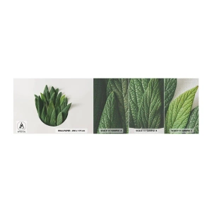 Vzor Fototapety Premium Canvas - Neukojitelná zvědavost - Šalvěj, List šalvěje, Bylina - 100x30 cm