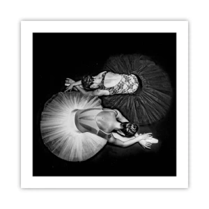 Plakát - Jin a jang – dokonalá rovnováha - 50x50 cm