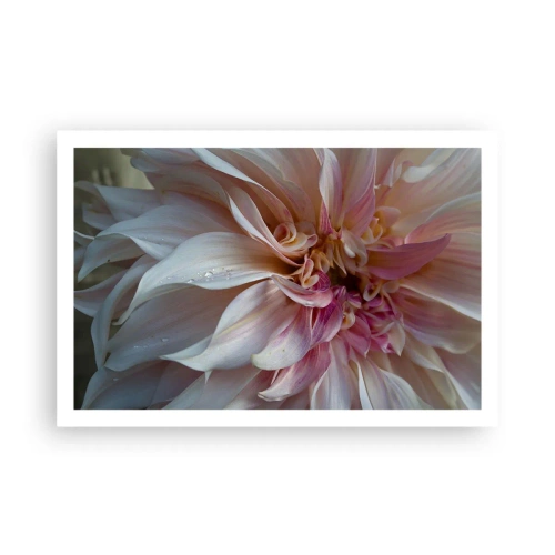 Plakát - Kvetoucí svěžest - 91x61 cm