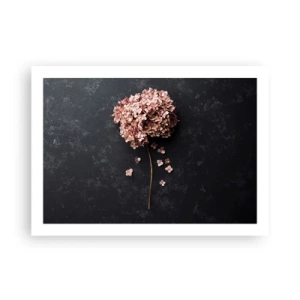 Plakát - Skutečně romantické znamení - 70x50 cm