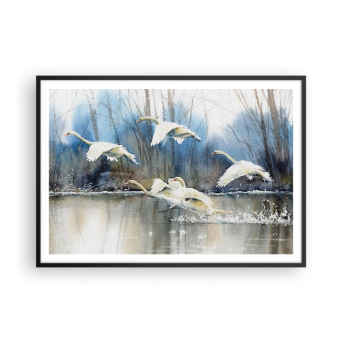 Plakát v černém rámu - Jako v povídce o divokých labutích - 100x70 cm