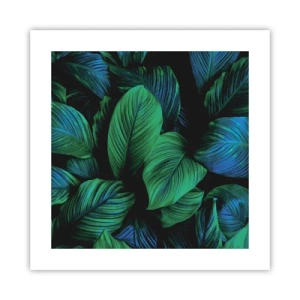 Plakát - V zeleném davu - 40x40 cm