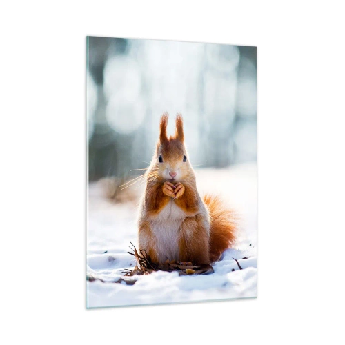Obraz na skle - Co se tak díváš? - 50x70 cm
