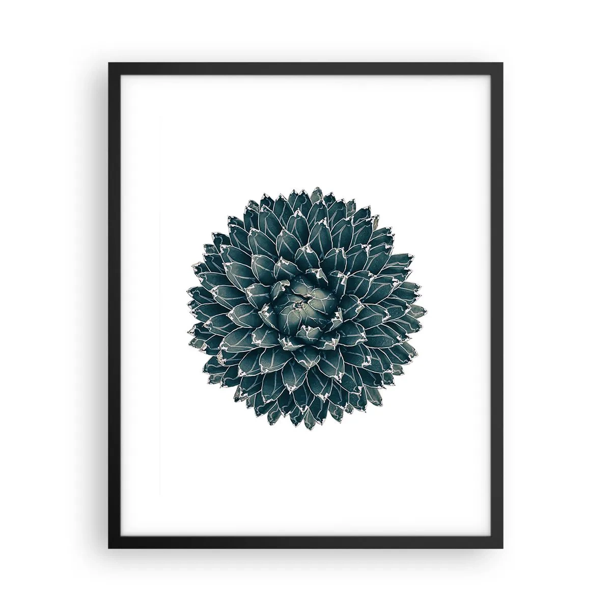 Plakát v černém rámu - Hvězda pouště - 40x50 cm