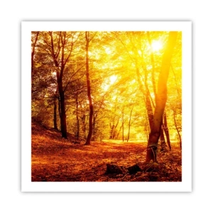 Plakát - Ke zlaté mýtině - 60x60 cm