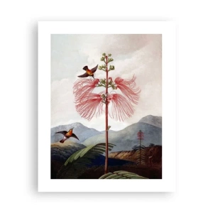 Plakát - V tropickém ráji - 40x50 cm