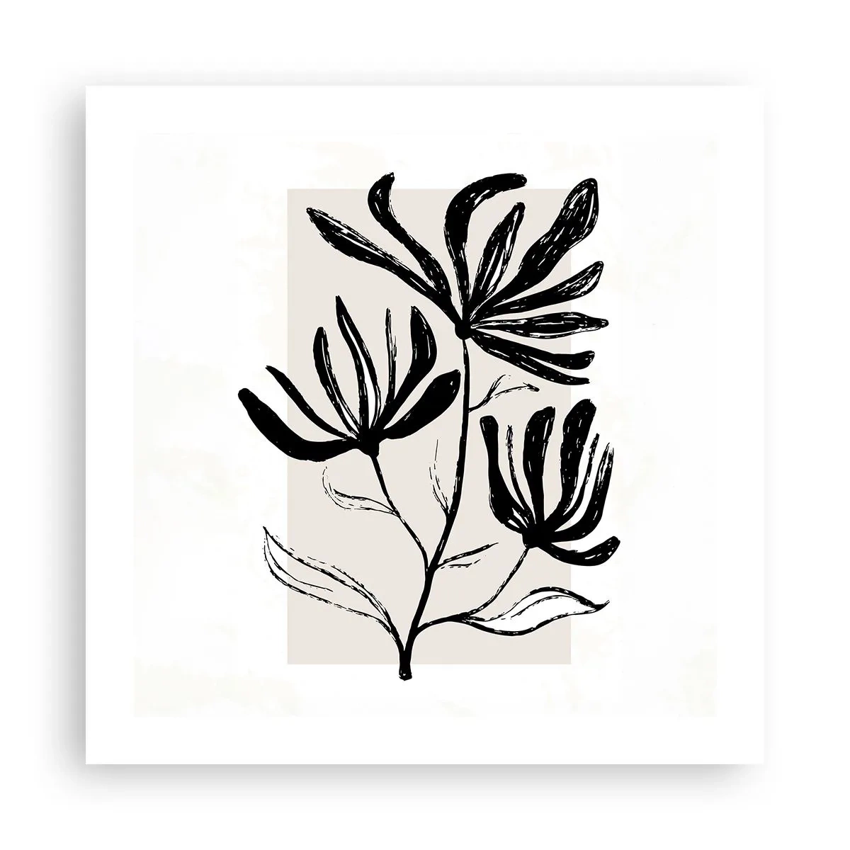 Plakát - Náčrtek pro herbář - 50x50 cm