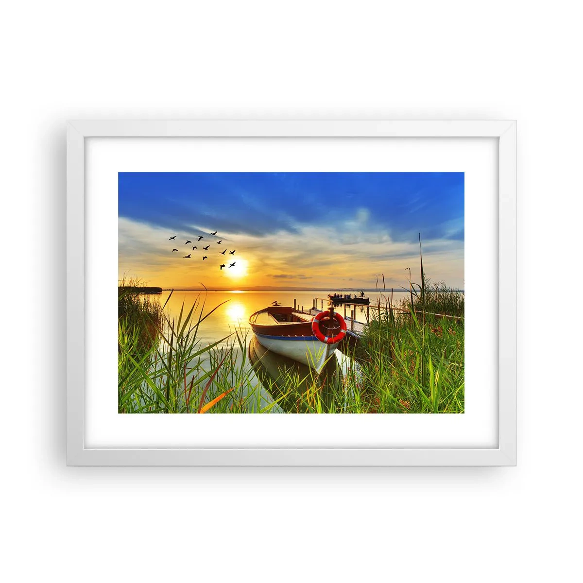 Plakát v bílém rámu - Kormoráni už odlétají - 40x30 cm