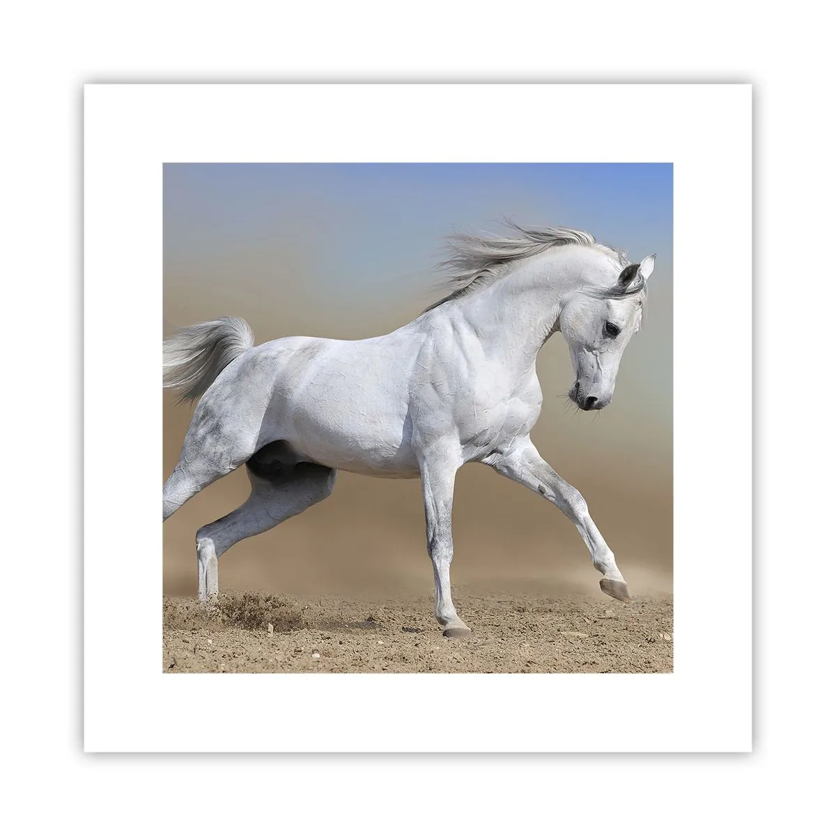 Plakát - Nejkrásnější arabská pohádka - 30x30 cm