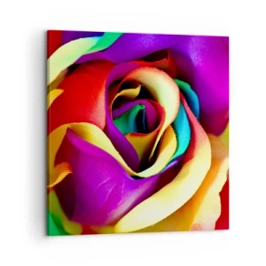 Obraz na plátně - To není možné - 60x60 cm