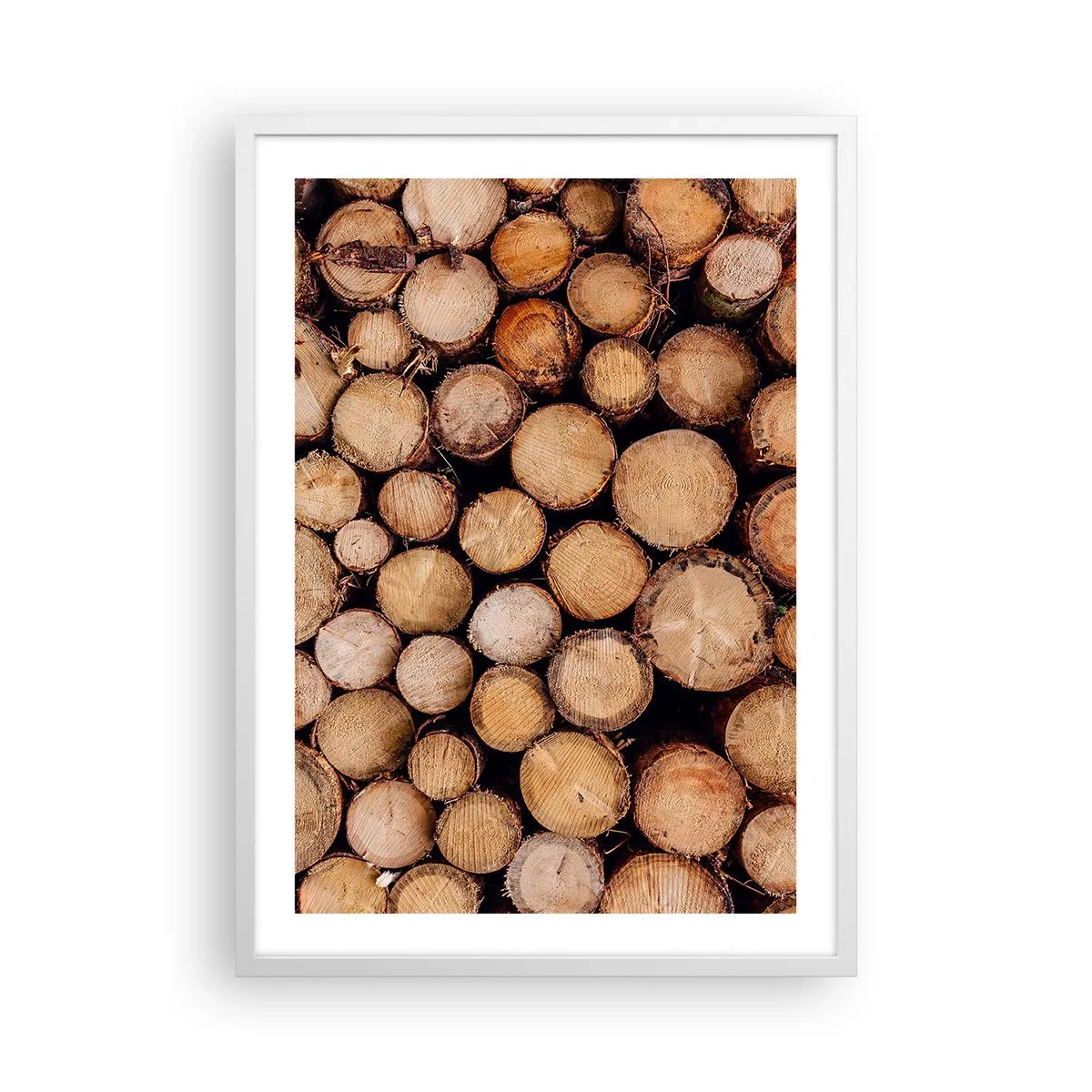 Plakát v bílém rámu - Nový začátek - 50x70 cm