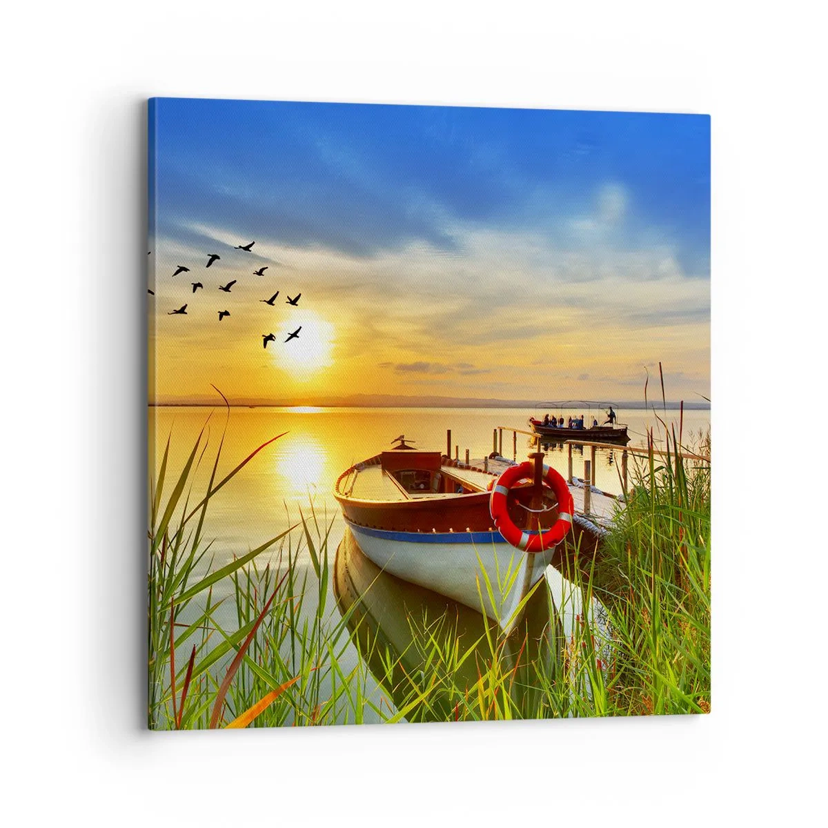 Obraz na plátně - Kormoráni už odlétají - 70x70 cm