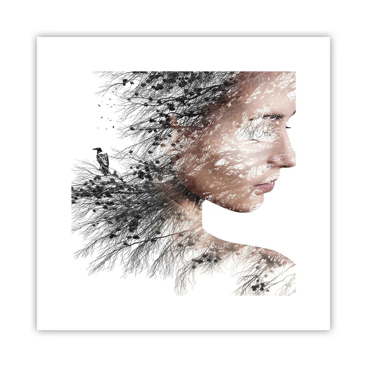 Plakát - Duch lesa - 30x30 cm