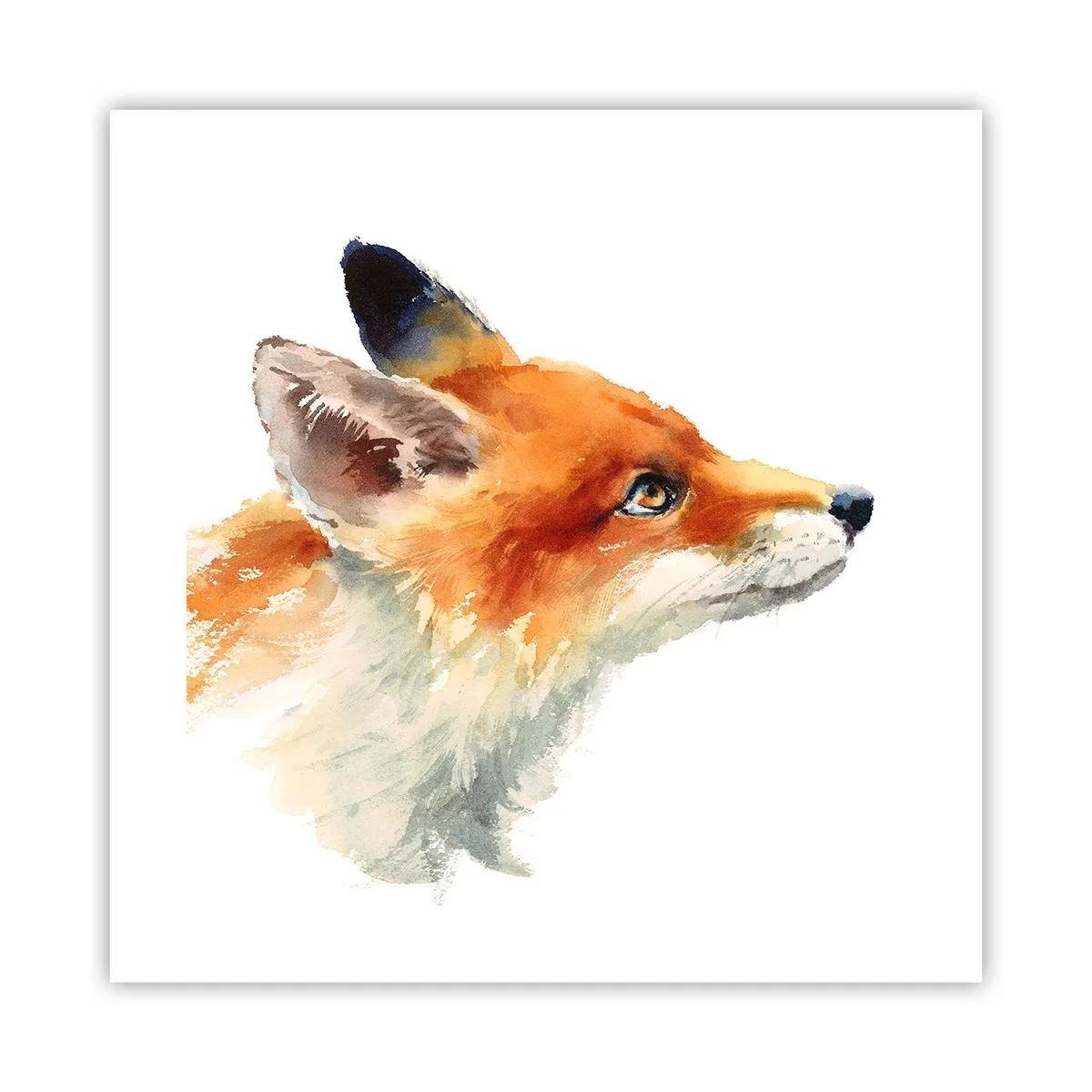 Plakát - Opatrnosti není nikdy dost - 40x40 cm