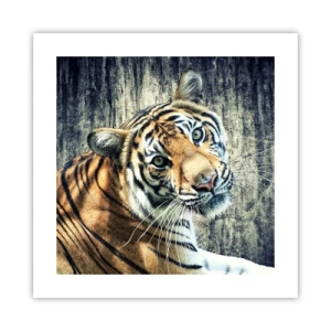 Plakát - Portrét v pramenech světla - 40x40 cm