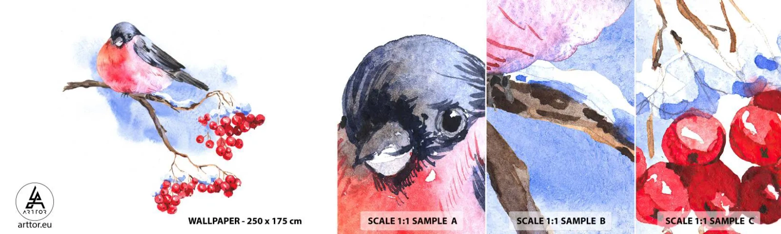 Vzor Fototapety Samolepicí Deluxe Sticker - Barevná zima - Pták Na Větvi, Červená jeřabina, Grafika - 100x30 cm